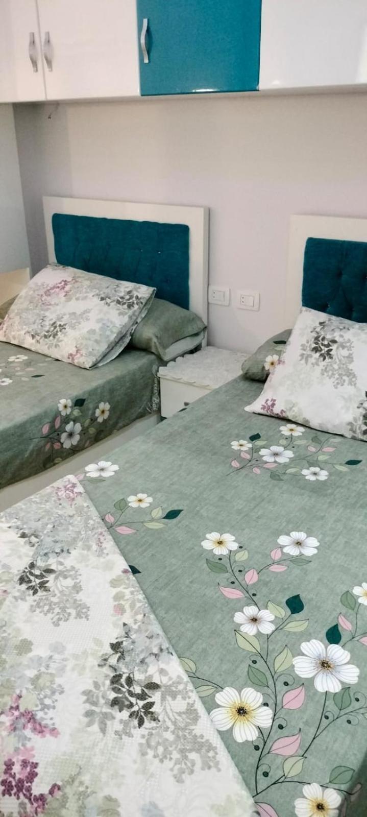 Apartament سيسليا ريزورت H9 *